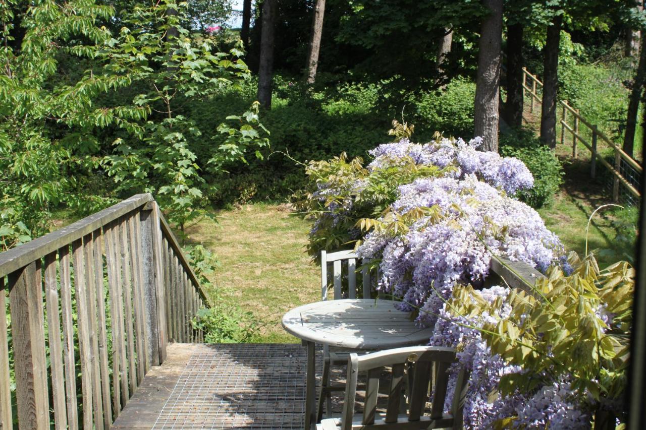 Knapp House Lodges East Anstey エクステリア 写真
